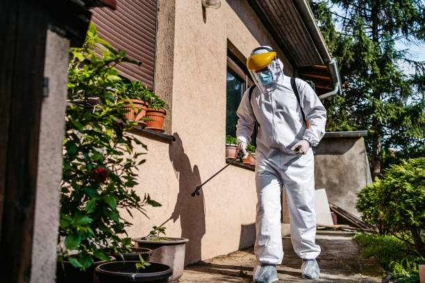 Pest Control for Restaurants in Morton Grove, IL