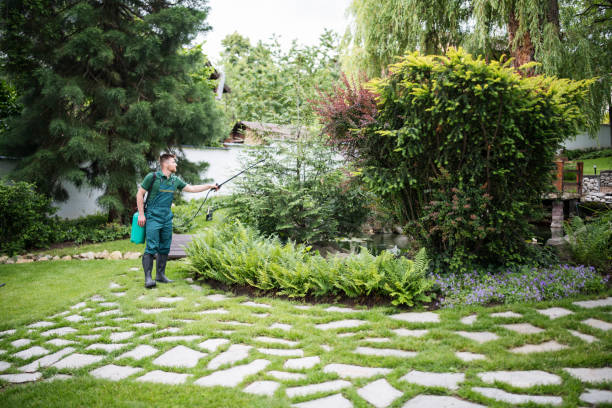 Best Mosquito Control Services  in Morton Grove, IL