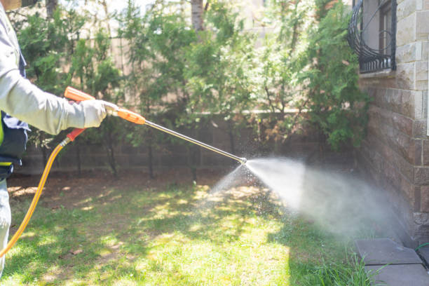 Best Exterminator Services  in Morton Grove, IL