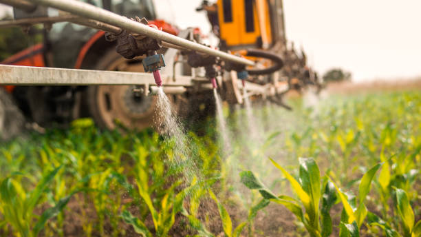 Best Insect Control  in Morton Grove, IL